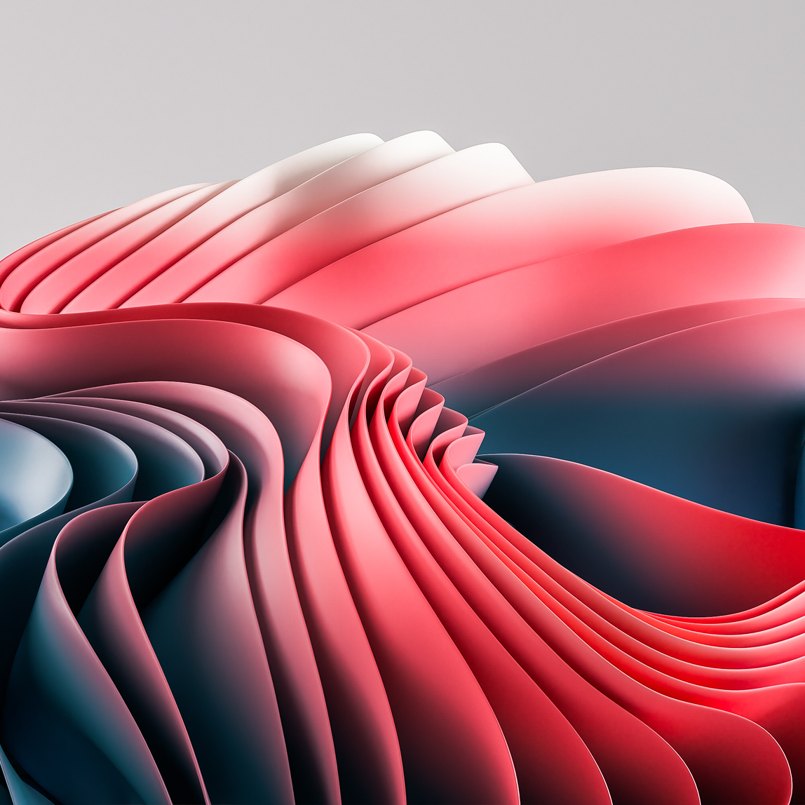 an image of organic shapes representing surface
